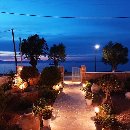 Studios Antoniou Skála Dış mekan fotoğraf
