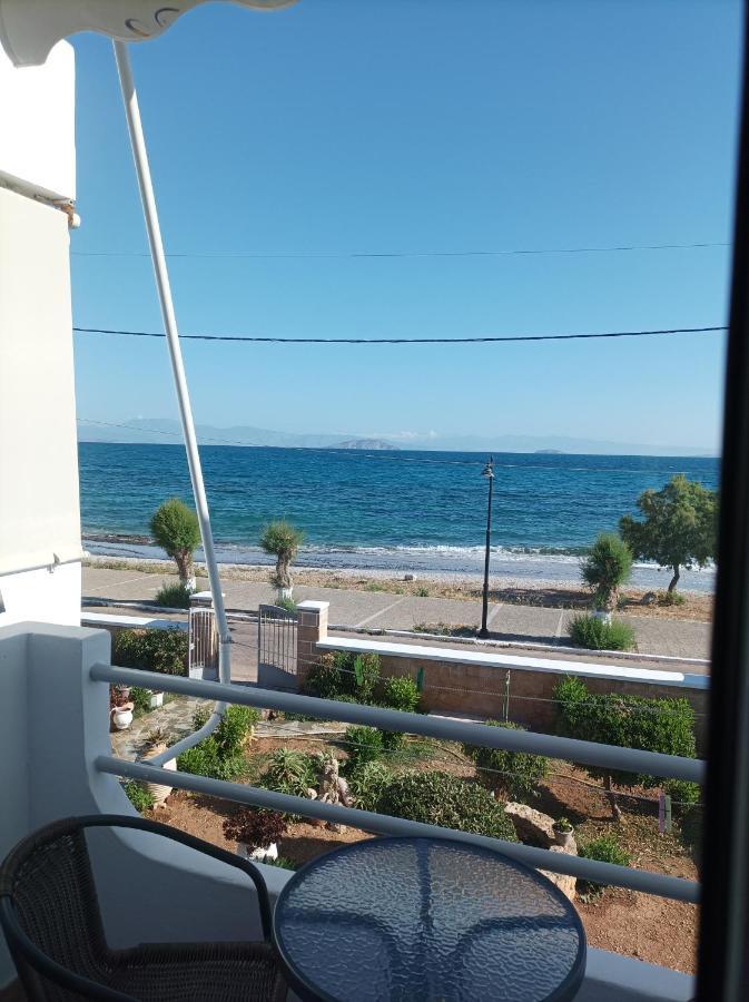 Studios Antoniou Skála Dış mekan fotoğraf
