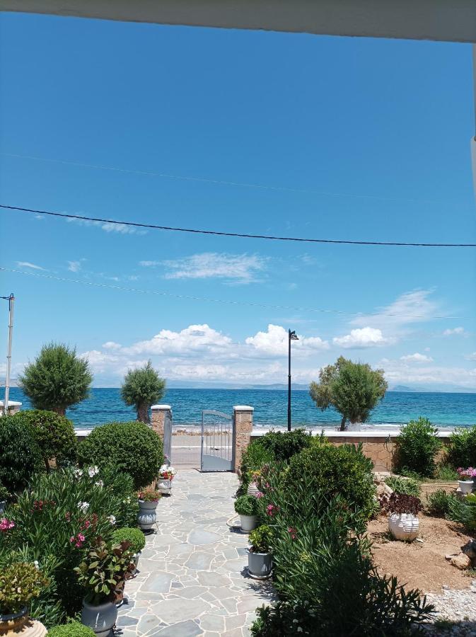 Studios Antoniou Skála Dış mekan fotoğraf