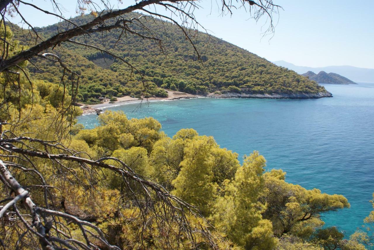 Studios Antoniou Skála Dış mekan fotoğraf